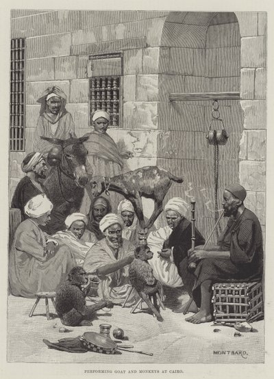 Performing Goat and Monkeys at Cairo by Charles Auguste Loye